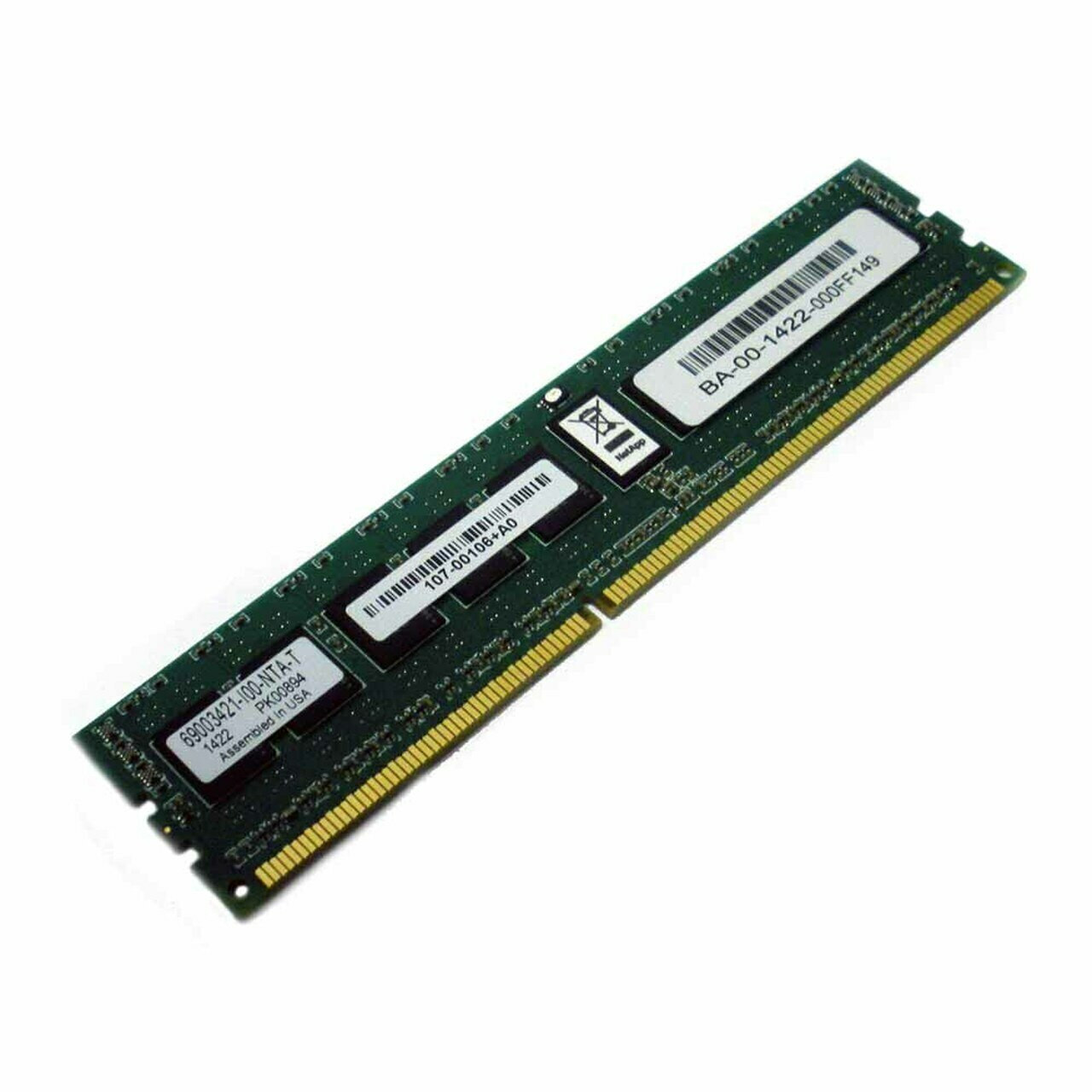 NetApp Server Memory RAM